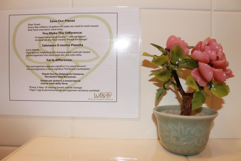 Lupa Bed & Breakfast